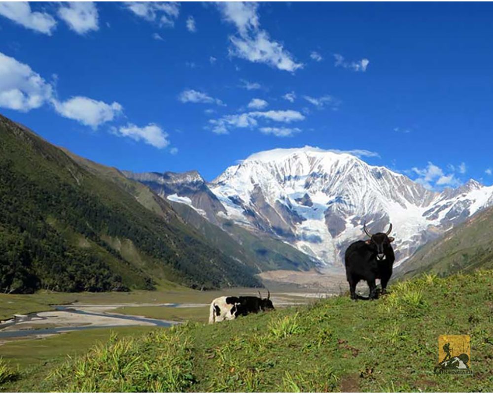 Saipal Himal Base Camp Trek